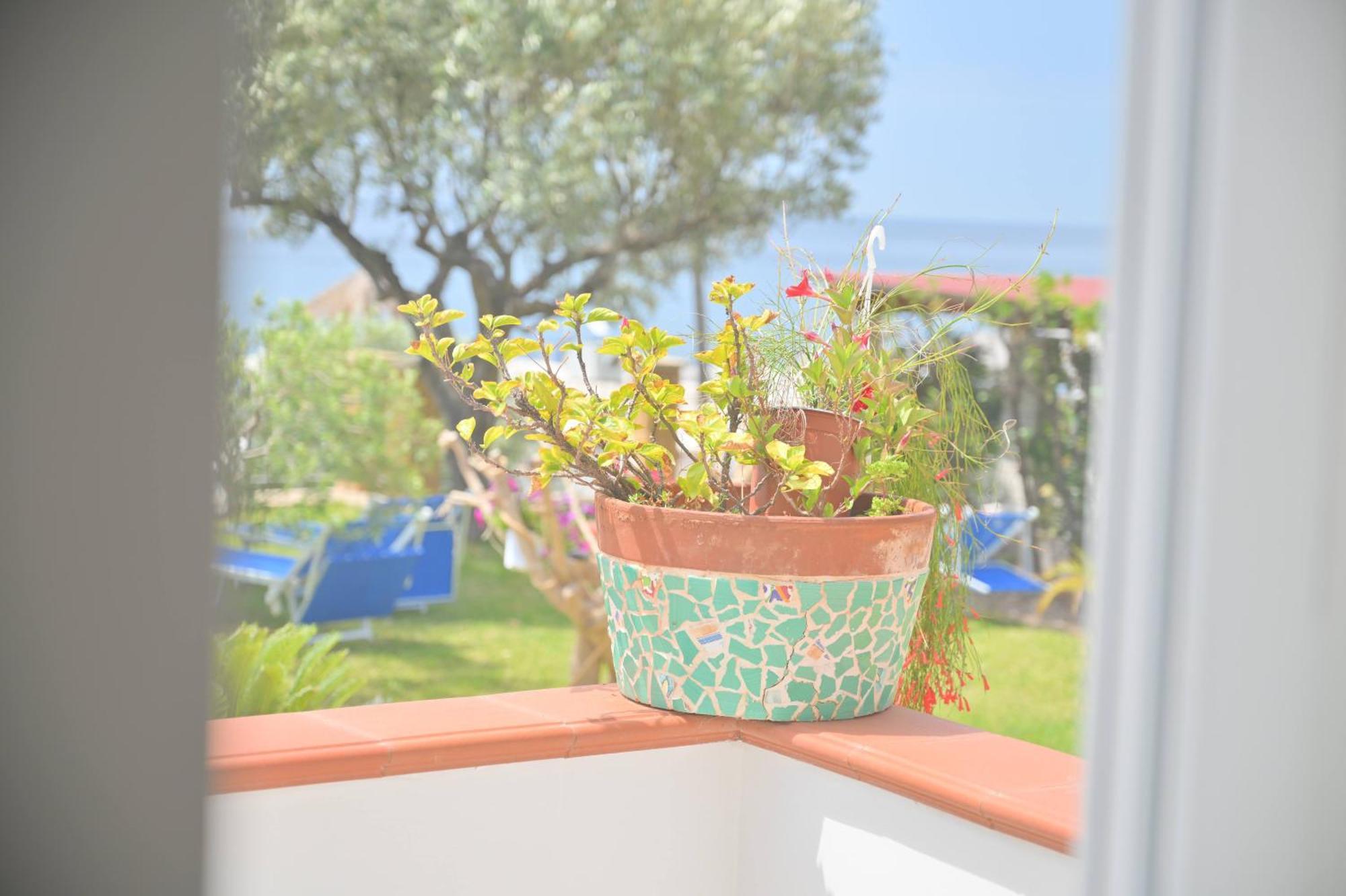 Blu Maronti Apartment Barano d'Ischia Exterior photo